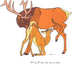 anatomically_correct anatomically_correct_anus anatomically_correct_genitalia anatomically_correct_penis anatomically_correct_pussy animal_anus animal_genitalia animal_penis animal_pussy anus cervine cervine_anus cervine_genitalia cervine_penis cervine_pussy crotchboob cum deer elk fellatio female feral fur genitals hi_res hooves male oral oral_sex penis pussy sex straight tim_o'rourke