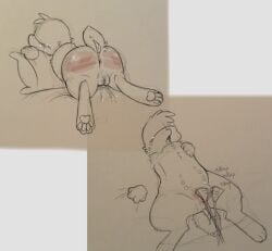 animal_genitalia animal_pussy ass d1ctatordevil feral fluffy_grunt madness_combat pussy whip whipping_ass whipping_pussy