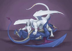 blue dragon fellatio female feral hypnoticdragon licking male oral oral_sex penis scalie sex straight tongue white_scales wings