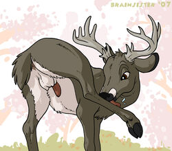 1boy 2007 anus brainsister cervine deer feral hooves male male_only nude penis solo