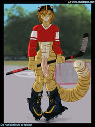 1boy balls big_penis bottomless feline fluffy_tail gideon green_eyes hockey_stick inline_skates male male_only penis sheath solo street_hockey tail vein