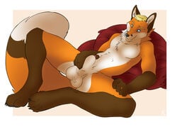 1boy anthro balls big_balls canine erection fox fur furry greysonfox_(character) male male_only penis sheath solo straydog