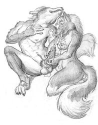 anthro arjuna balls breasts canine cum facial female fur furry knot male messy nude penis sex straight wolf