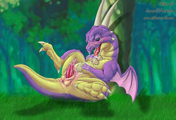 1boy athus cum cute dragon dragon_ball feral icarus_(dragon_ball) male male_only nude penis purple scalie solo wings