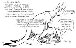 1990s 1993 20th_century anatomically_correct anatomically_correct_genitalia animal_genitalia annoying_watermark balls black_and_white cervine_genitalia female feral fur genitals humor kangaroo male marsupial monochrome straight tim_o'rourke year young