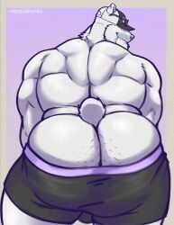 anthro back_muscles barazoku bear biceps big_butt big_muscles black_bottomwear black_clothing black_shorts body_hair border bottomwear bottomwear_down bulge bulge_from_behind burley_(ara_chibi) butt butt_focus butt_hair clothed clothing cocky cocky_grin eyewear eyewear_on_head flirting flirting_with_viewer fur green_clothing green_hat green_headwear grey_border grin grinning_at_viewer hat headgear headwear hi_res hunnipanda imminent_anal imminent_sex inviting inviting_to_anal inviting_to_sex inviting_viewer looking_at_viewer looking_back looking_back_at_viewer low-angle_view male mammal manly muscular muscular_anthro muscular_arms muscular_male muscular_thighs offering_anal offering_sex offering_to_viewer partially_clothed polar_bear presenting presenting_body presenting_hindquarters purple_background purple_clothing purple_underwear rear_view sagging sagging_pants seducing_viewer seductive shorts shorts_down showing_off_butt showing_off_muscles simple_background smile smiling_at_viewer smirk smirking_at_viewer solo sunglasses sunglasses_on_hat sunglasses_on_head tail thick_arms thick_thighs topless topless_anthro topless_male tough_guy underwear ursine wearing_sunglasses white_body white_clothing white_fur white_hat white_headwear