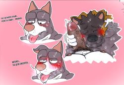 Akita Rule 34 Image