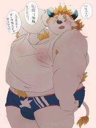 1boy 2022 absurd_res anthro babe_bunyan belly big_belly blush bovid bovine bulge cattle clothing dumdum hi_res japanese_text kemono lifewonders male male_only mammal moobs overweight overweight_male shirt simple_background solo text tokyo_afterschool_summoners topwear underwear video_games