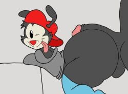 2boys 2d animaniacs ass big_ass canid canine canis femboy fracturedlightning huge_ass imminent_sex large_ass looking_at_viewer male penis submissive_male wakko_warner warner_brothers yakko_warner