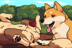 anatomically_correct anatomically_correct_genitalia anatomically_correct_penis animal_genitalia animal_penis anus ass balls brown_body brown_fur canid canine canine_penis canis detailed_background digital_media_(artwork) dipstick_tail domestic_dog duo feral field fur genitals haku_(hdoge) hdoge_(artist) looking_at_genitalia looking_at_penis lying male male/male mammal markings multicolored_body multicolored_fur nipples on_back open_mouth orange_body orange_fur outside pawpads paws penis pixel_(artwork) plant red_eyes sheath shiba_inu spitz tail_markings tongue tongue_out tree two_tone_body two_tone_fur whiskey_(hdoge)