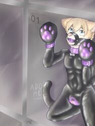 anthro ball_gag bondage_gear bondage_gloves bulge c2503j clothing cuff_(restraint) drakethefox furry gag gagged latex latex_clothing male male_only malesub null_bulge petplay restraints roleplay rubber rubber_clothing rubber_suit slave solo sora_(tehkey)