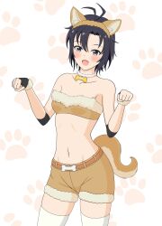 1girls ahoge belly belly_button black_hair blush cute dog_ears dog_girl dog_tail female female_focus female_only grey_eyes idolmaster idolmaster_cinderella_girls kikuchi_makoto legwear looking_at_viewer makoto_kikuchi necklace neckwear short_hair shorts simple_background smiling_at_viewer solo solo_female solo_focus thighs waist white_background white_legwear