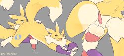 renamon from bandai namco by bootyfeather