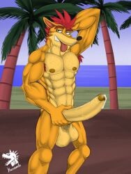 activision anthro balls bandicoot beach big_penis bodily_fluids body_hair chest_hair crash_(series) crash_bandicoot genital_fluids genitals hi_res male male_only mammal markdeth marsupial muscular muscular_male nazuranoke penis precum solo video_games watermark