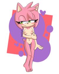 1girls amy_rose anthro blush completely_nude completely_nude_female female female_only full_body fur furry furry_only jardxddx naked naked_female nude nude_female shy small_breasts solo solo_female sonic_(series)