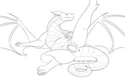 1girls anus black_and_white curled_tail dragon egg egg_laying female female_only feral heron_zrtomenus heron_ztromenus king_quince line_art looking_pleasured monochrome mudwing_(wof) solo solo_female spread_wings stretched_out_leg wings wings_of_fire ztromenus