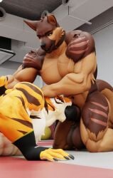 2022 3d_(artwork) abs animal_genitalia animal_penis anthro anthro_on_anthro anthro_penetrated anthro_penetrating anthro_penetrating_anthro balls biceps big_balls big_muscles big_penis canid canine canine_penis canis claws clothing collar connivingrat dal_(dal_your_pal) digital_media_(artwork) domestic_dog duo erection eyebrows felid fingerless_gloves fur gay genitals german_shepherd gloves handwear herding_dog hi_res inside irrumatio kneeling knot lying male male/male male_only male_penetrated male_penetrating male_penetrating_male mammal muscular muscular_anthro muscular_male navel nude on_front oral oral_penetration pantherine pastoral_dog pecs penetration penile penis scar sex stead_(connivingrat) tiger tuft wrestling yaoi