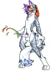 1boy anthro balls canine colored_cum cum fur furry male male_only nude open_mouth penis rainbow_cum ru ruaidri solo