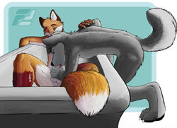 anthro balls bathtub canine fluke fox fur furry furry_only gay male no_humans oral sheath tongue wolf