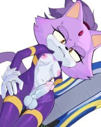 blaze the cat from sega by magnetstuff