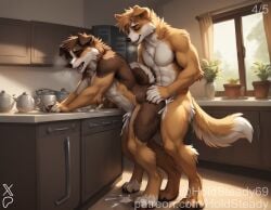 1boy abs ai_assisted ai_generated anthro australian_shepherd biceps big_muscles breath brown_fur canid canine canis cum_dripping cum_on_floor detailed detailed_fur domestic_dog duo female female_anthro full_body furry holding holding_breasts holdsteady kitchen large_breasts male morning muscular muscular_female muscular_male orgasm_face panting patreon patreon_username sex side_view standing sunlight table