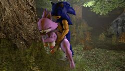 1boy 1futa 3d anal anal_sex anthro bent_over blaze_the_cat forest forest_background forest_sex futanari male_on_futa sonic_(series) sonic_the_hedgehog sonicthebitch standing tagme