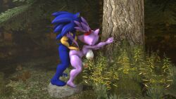 1boy 1futa 3d anal anal_sex anthro bent_over blaze_the_cat forest forest_background forest_sex futanari male male_on_futa sonic_(series) sonic_the_hedgehog sonicthebitch standing tagme