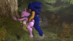 1boy 1futa 3d anal anal_sex anthro bent_over blaze_the_cat forest forest_background forest_sex futanari male_on_futa sonic_(series) sonic_the_hedgehog sonicthebitch standing tagme