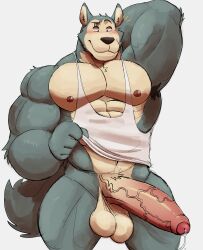 anthro arm_up armpit armpit_hair balls bara barazoku beastars big_balls big_penis blush furry gay grey_fur legoshi_(beastars) male male_only muscles muscular partially_retracted_foreskin penis precum scar scar_across_eye semi-erect solo solo_male tail tank_top tank_top_lift vitashi wolf