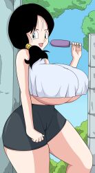 videl from dragon ball by toshiso