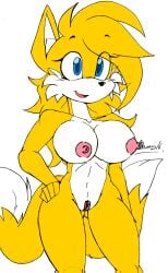 2016 akatsukishiranui-fox alluring anthro anthro_only big_breasts breasts canine cleavage completely_nude_female edit female fox furry high_res mammal naked nipples nude pin_up pussy rule_63 sega smile sonic_(series) tails tailsko