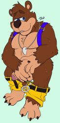 anthro backpack bag balls banjo-kazooie banjo_(banjo-kazooie) belt blue_eyes blush bodily_fluids bottomwear brown_body brown_fur claws clothed clothing embarrassed foreskin fur gay genital_fluids genitals hi_res male male_only mammal neckwear partially_clothed penis precum rareware shorts shorts_down shy solo sweat tbid ursid video_games