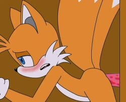 2_tails 2boys anal animated anthro ass blue_eyes fox fuckboy furry gay glory_hole male male/male male_only mammal miles_prower moaning multi_tail penis sega solo sonic_(series) sonic_the_hedgehog_(series) sound source_request spanky15 tail tails tails_the_fox video yellow_body yellow_fur