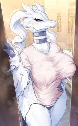 bathroom big_breasts blush choker dragon female female_only furry healingpit milf pokemon pokemon_bw reshiram rings tight_clothing wife