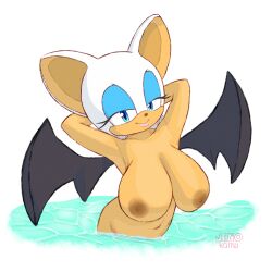 1girls artist_name bat blue_eyes breasts female fur furry hi_res highres jetfrozen nipples rouge_the_bat sega smile sonic_(series) sonic_the_hedgehog_(series) water white_background