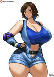 kazama asuka from tekken by batako