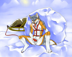 2009 anthro azelyn closed_eyes color cum day fur furry furry_only granite_the_wolf harness male male_only masturbation nude outdoors sled snow solo spread_legs spreading