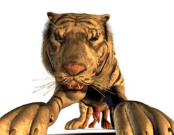 2009 3d alpha_channel anal balls blue_eyes erection feline feral fur gay hyper looking_at_viewer male male_only no_humans open_mouth orange penis siberian_tiger spanking_(artist) tiger transparent_background white_fur