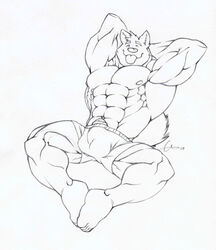 anthro boxers bulge canine fur furry grin husky looking_at_viewer male male_only muscles presenting sketch solo tail tkc2021 tongue underwear