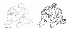 1boy anthro balls claws fangs feline fur furry male male_only muscles nude penis sketch solo tail tiger tkc2021