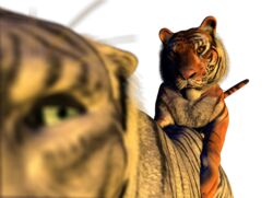 2009 3d alpha_channel anal blue_eyes claws feline feral gay male male_only no_humans orange orange_eyes sex siberian_tiger spanking_(artist) tail tiger transparent_background white_fur