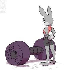 disney female jolly_jack judy_hopps rabbit weights zootopia