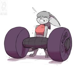 disney female jolly_jack judy_hopps rabbit weights zootopia