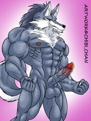 1boy anthro balls big_balls big_penis canine chibi_chan cum fur furry male male_only muscles penis pride shining_(series) shining_tear solo volg werewolf wolf