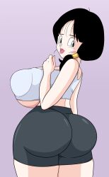 videl from dragon ball by toshiso
