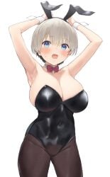 animal_ears armpits arms_up bangs bare_shoulders black_leotard black_pantyhose blue_eyes blush bow bowtie breasts bunny_ears bunnysuit cleavage detached_collar fake_animal_ears female grey_hair hair_between_eyes highres large_breasts leotard looking_at_viewer nekoshoko oerba_yun_fang open_mouth pantyhose playboy_bunny rabbit_ears short_hair skin_fang solo standing strapless strapless_leotard sweat uzaki-chan_wa_asobitai! uzaki_hana very_short_hair wrist_cuffs