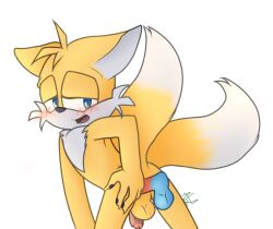 alpha_channel anthro balls blue_body blue_eyes canid canine digital_media_(artwork) duo erection fox fur genitals hair hi_res male mammal nate_foster nude penetration penis sega sex smile solo sonic_(series) sonic_the_hedgehog_(series) tails yellow_body