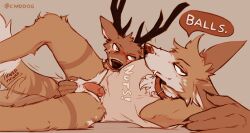 2022 anthro anthro_on_anthro antlers ball_fondling balls biped blush bodily_fluids bottomless bottomless_anthro bottomless_male brown_body brown_fur canid canine canis cantio_(lawyerdog) cervid clothed clothing collar coyote digital_media_(artwork) duo erection fondling fur genital_fluids genitals hi_res horn humanoid_genitalia humanoid_penis interspecies lawyerdog looking_at_viewer male male/male mammal multicolored_body multicolored_fur panko_(lawyerdog) penis precum simple_background smile tail_motion tailwag tan_body tan_fur white_body white_fur