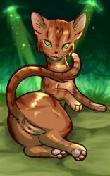 anus felid feline female feral feralkuro forest forest_background genitals hi_res leafpool_(warriors) mammal nature nature_background paws plant pussy solo tree warriors_(cats)