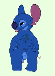 alien anthro anus ass backsack balls blep blue_body blue_fur disney fur genitals hi_res lilo_and_stitch male male_only penis presenting presenting_anus short_stack shortstack solo stitch stitch_(lilo_and_stitch) tbid tongue tongue_out